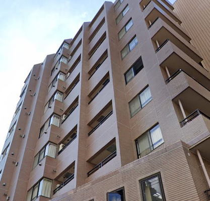 東京都豊島区南大塚３丁目 賃貸マンション 2DK